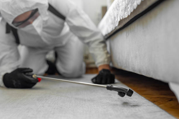 Professional Pest Control technician working in Granite County County, MT